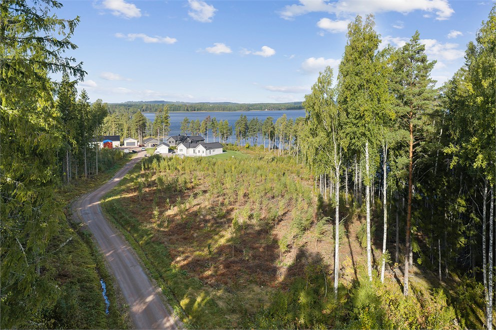 Bergsäng 429