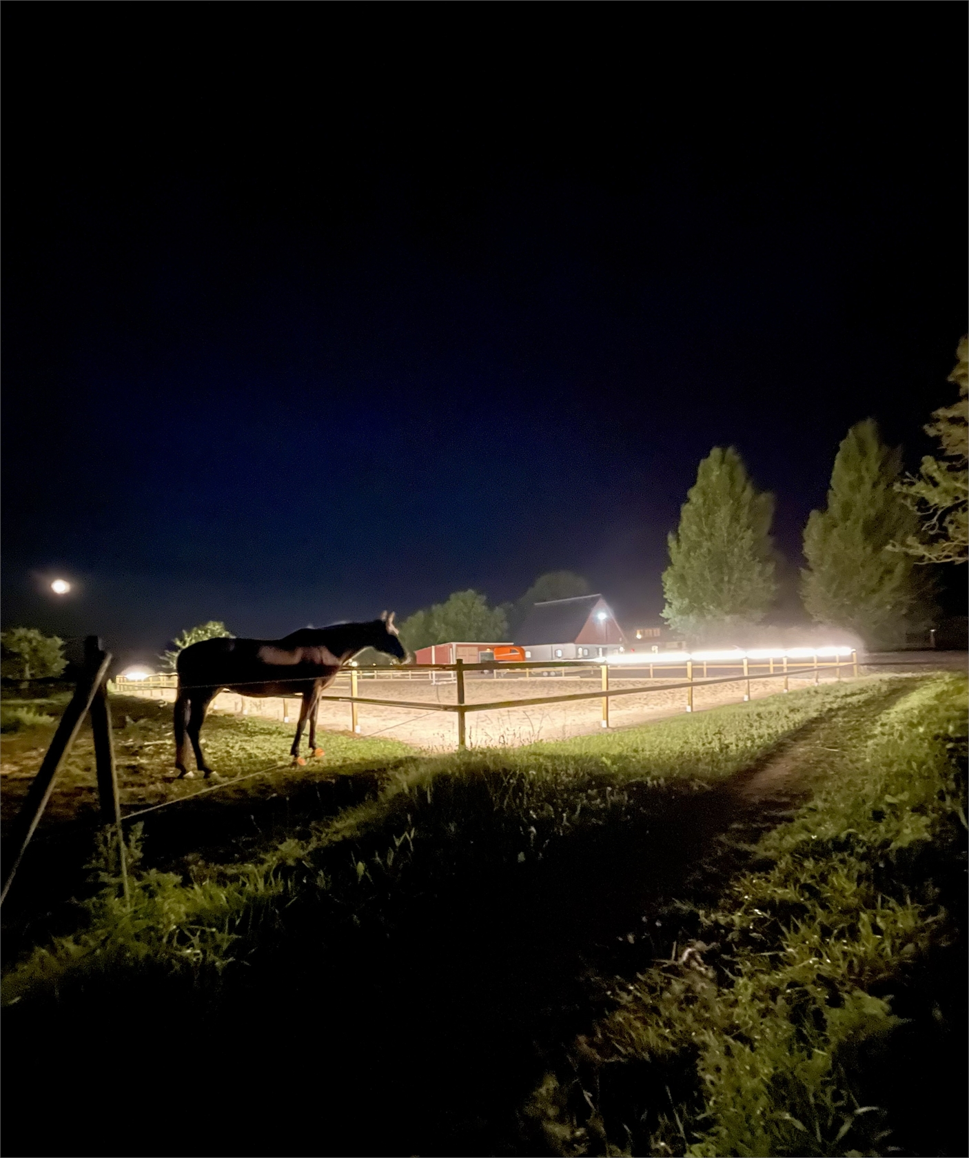 sön 27/9 – bild 31
