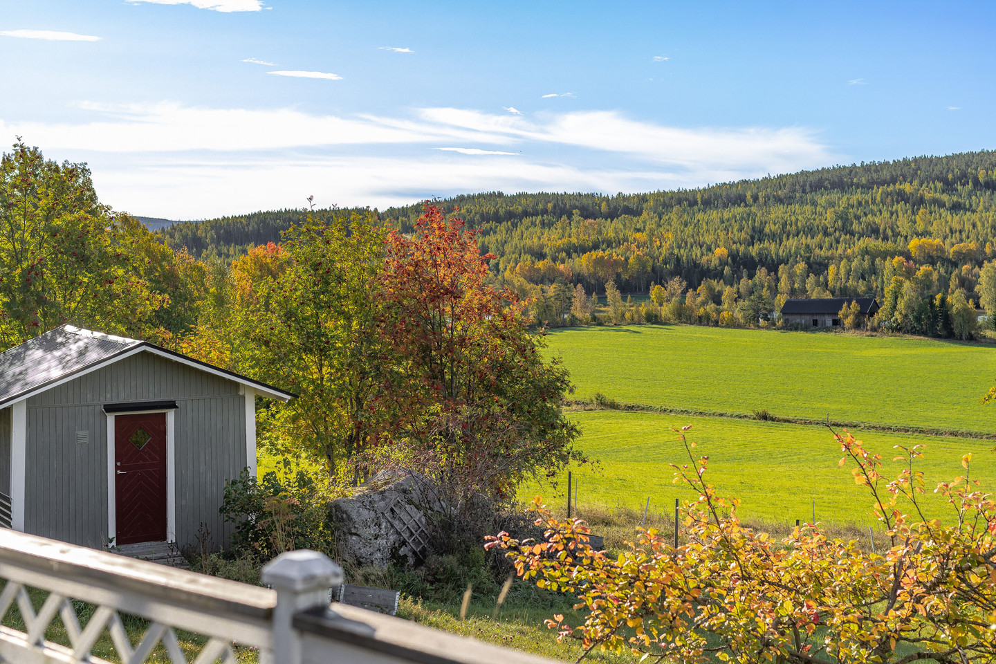 tors 15/10 – bild 14