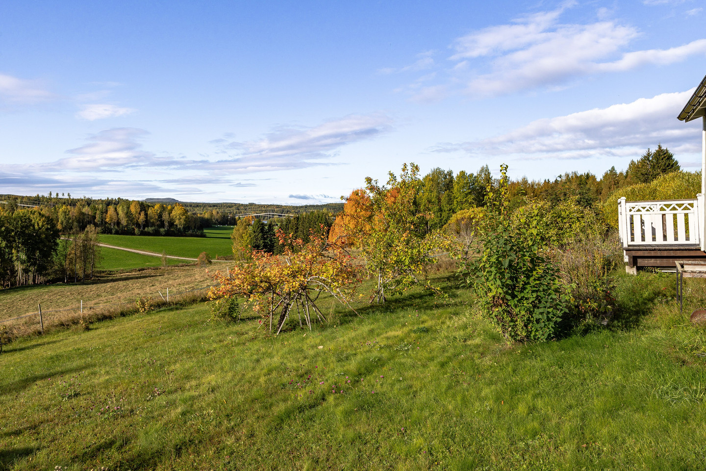 tors 15/10 – bild 24