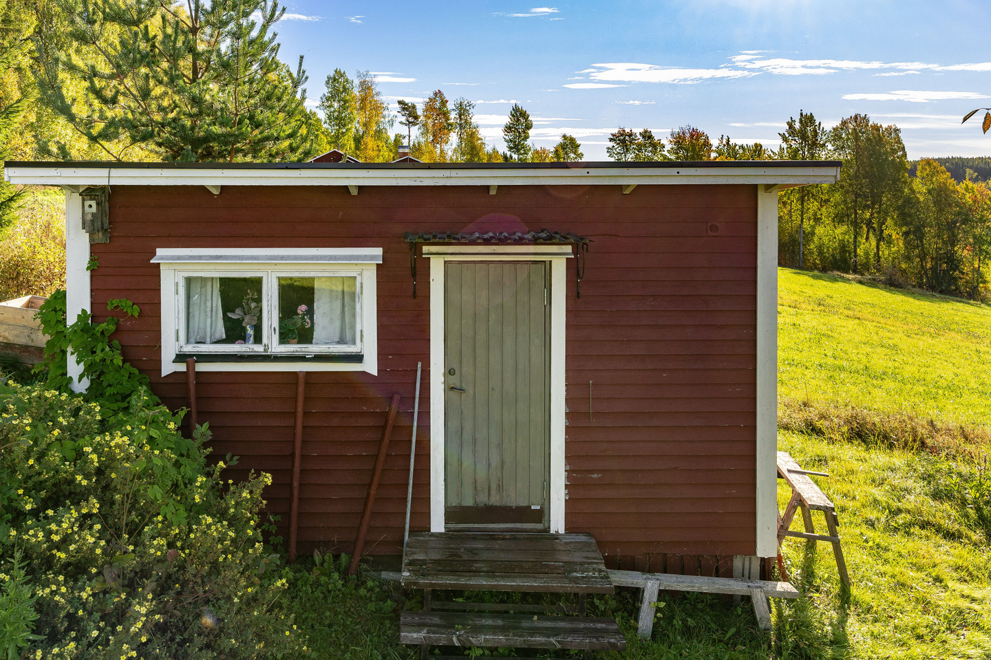 tors 15/10 – bild 15