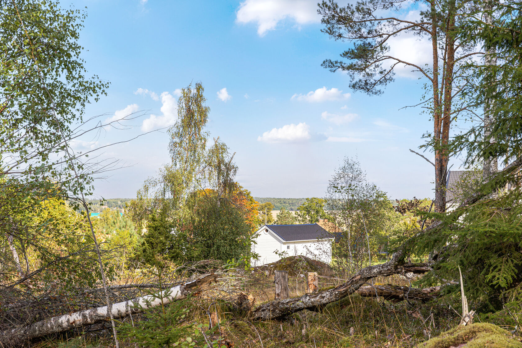 Se fler – bild 14
