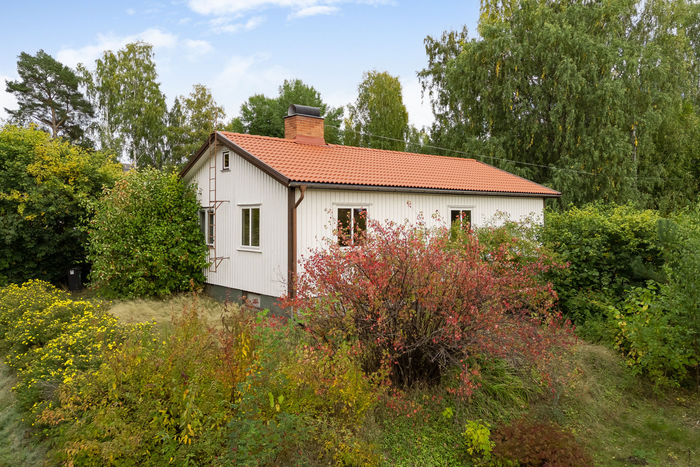 sön 11/10 – bild 21