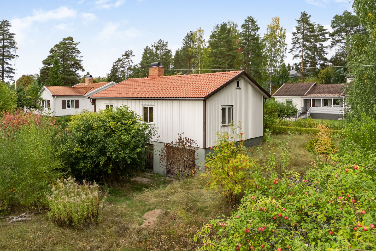 sön 11/10 – bild 2