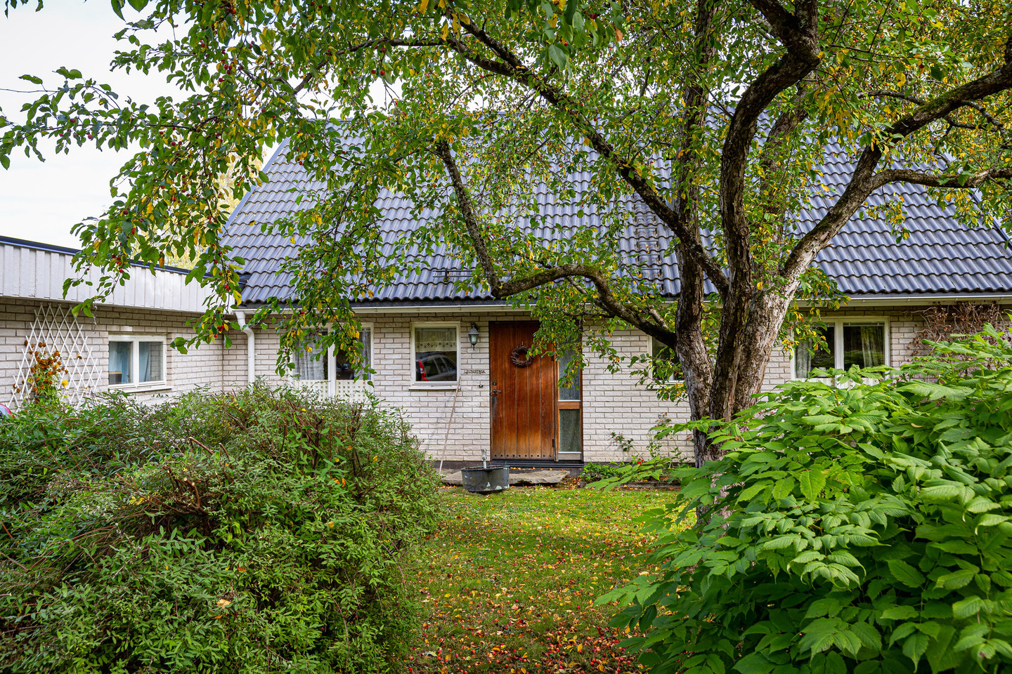 mån 26/10 – bild 26