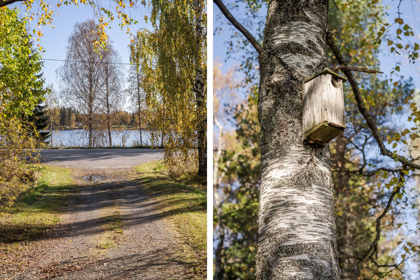 tis 27/10 – bild 44
