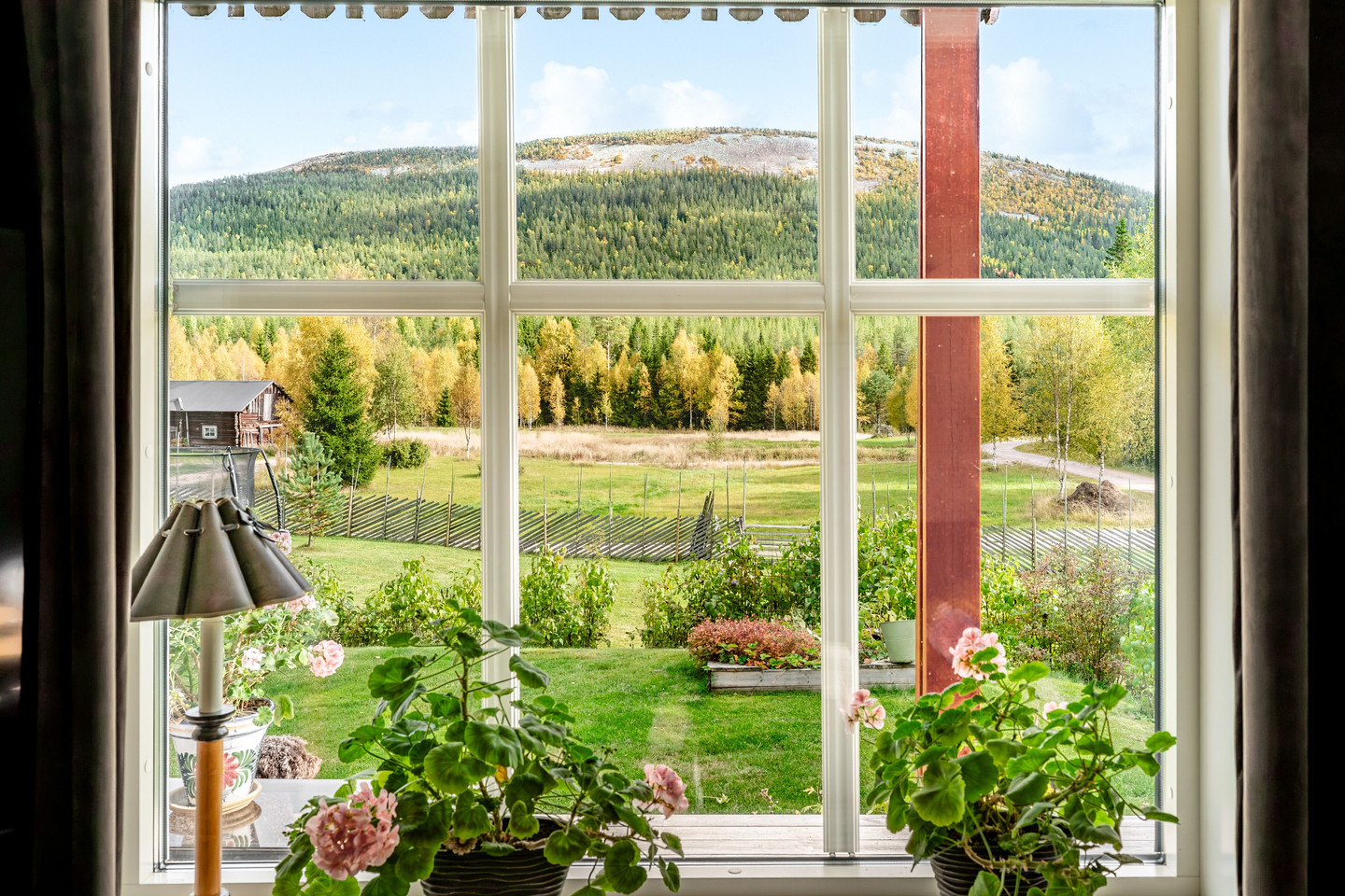 lör 31/10 – bild 18