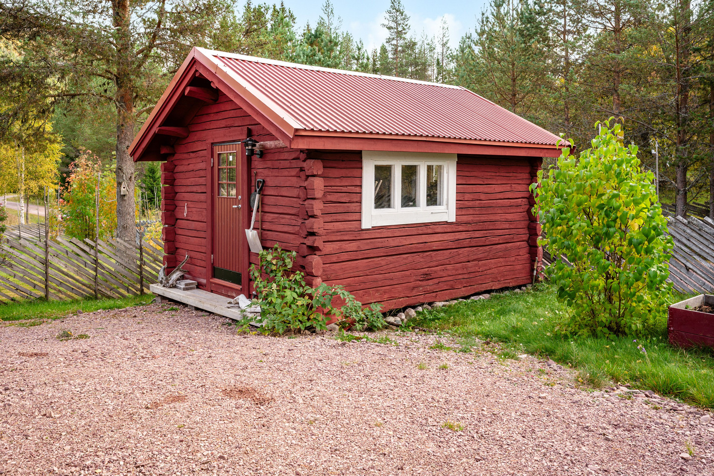lör 31/10 – bild 3