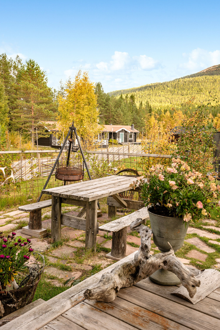 lör 31/10 – bild 4