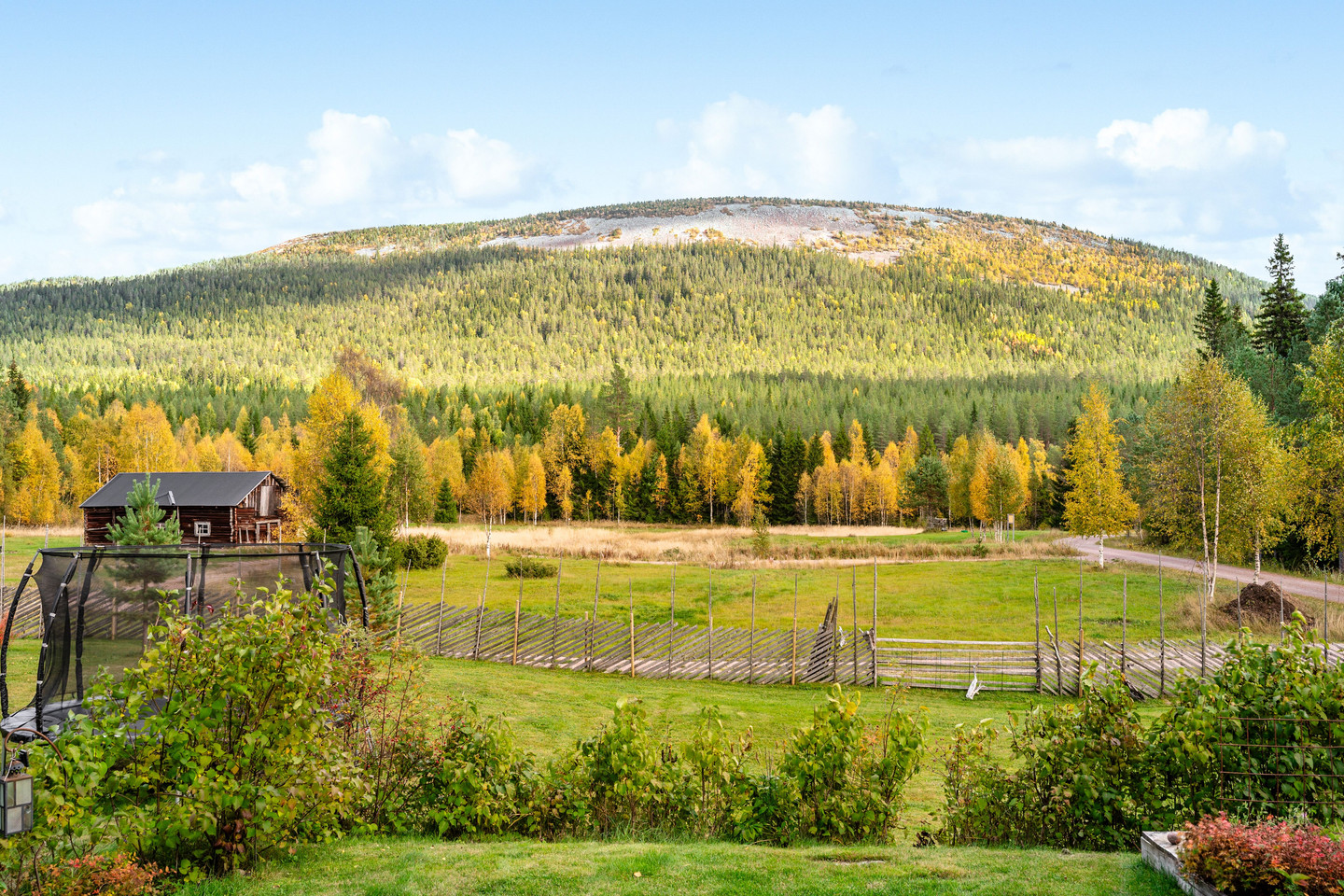lör 31/10 – bild 48