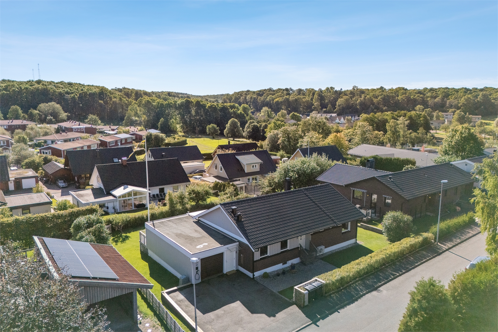 sön 1/11 – bild 2