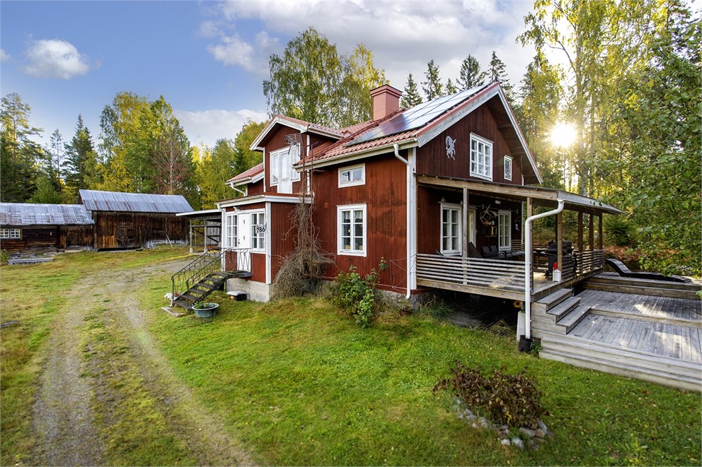 Svartvik 786