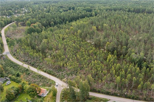 Lövsta