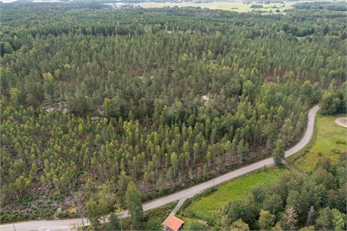 Lövsta