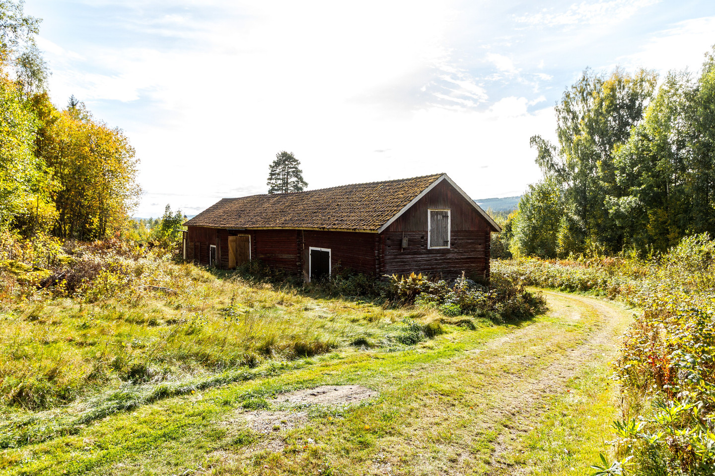 tors 22/10 – bild 38