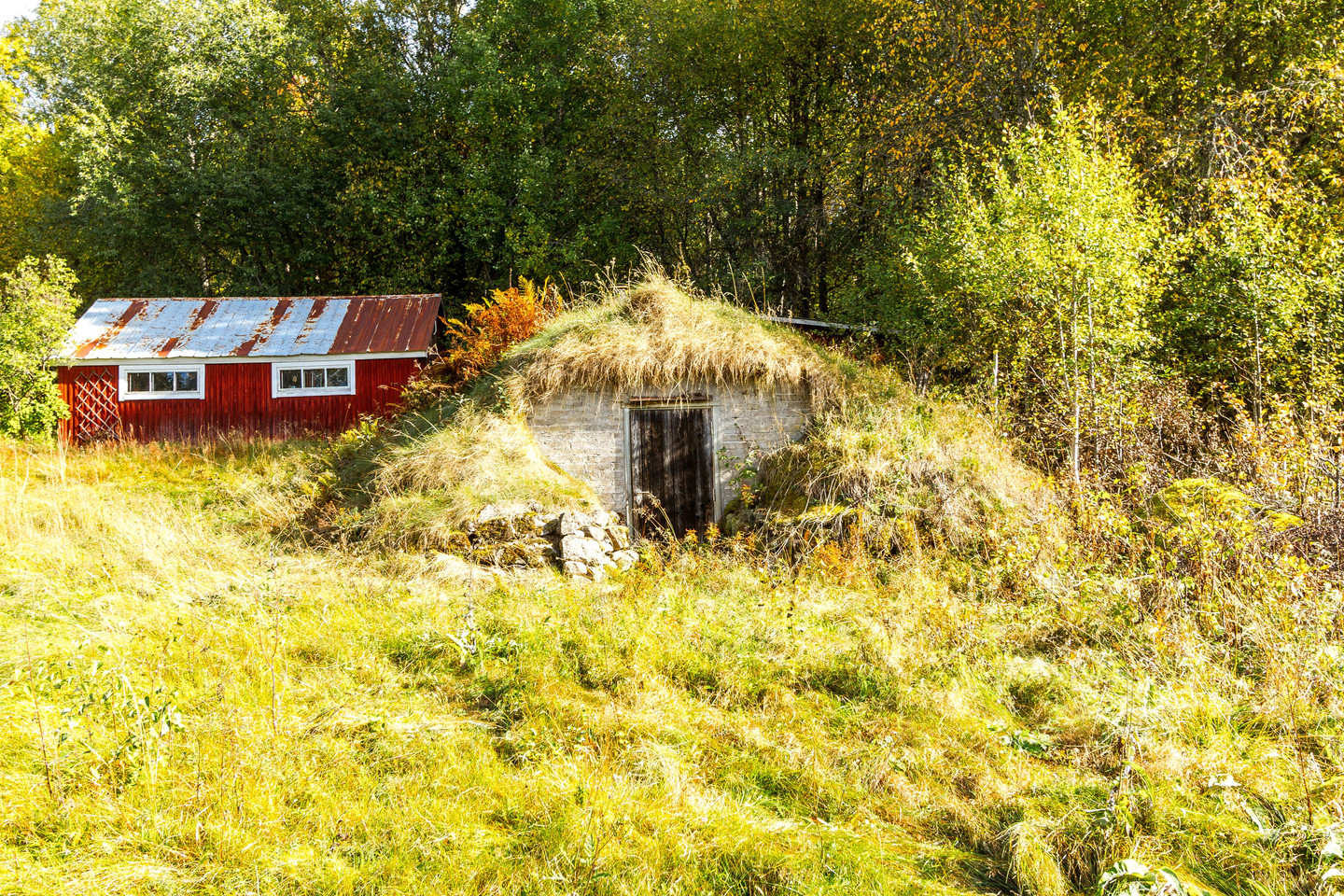 tors 22/10 – bild 44
