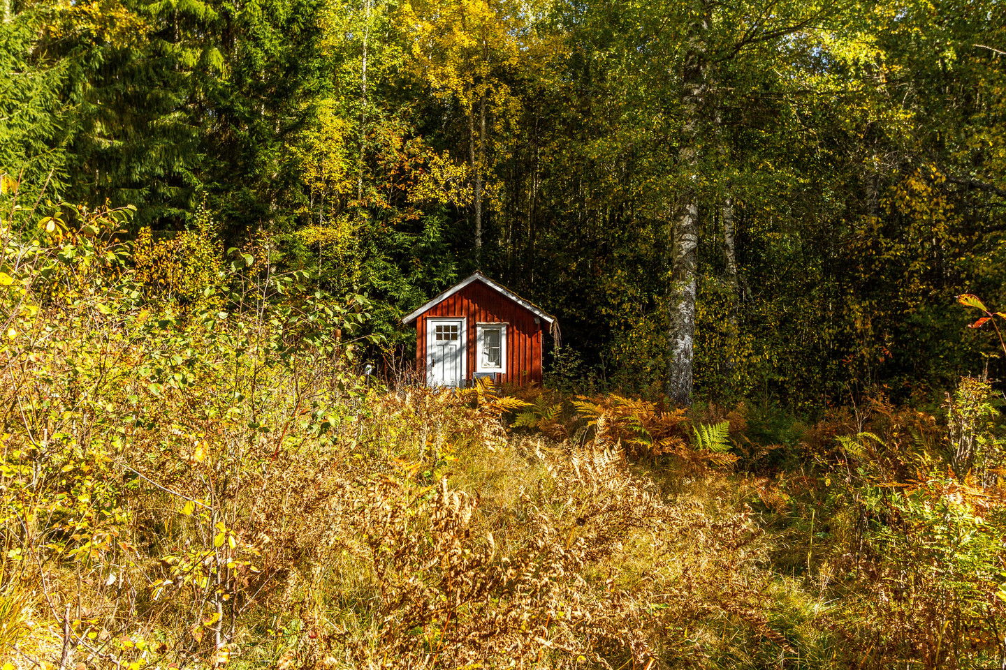 tors 22/10 – bild 41
