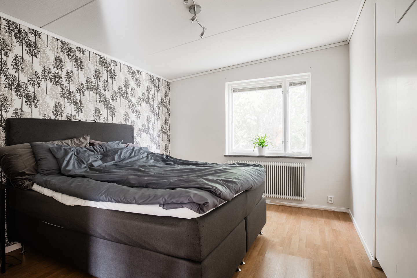 tis 20/10 – bild 17