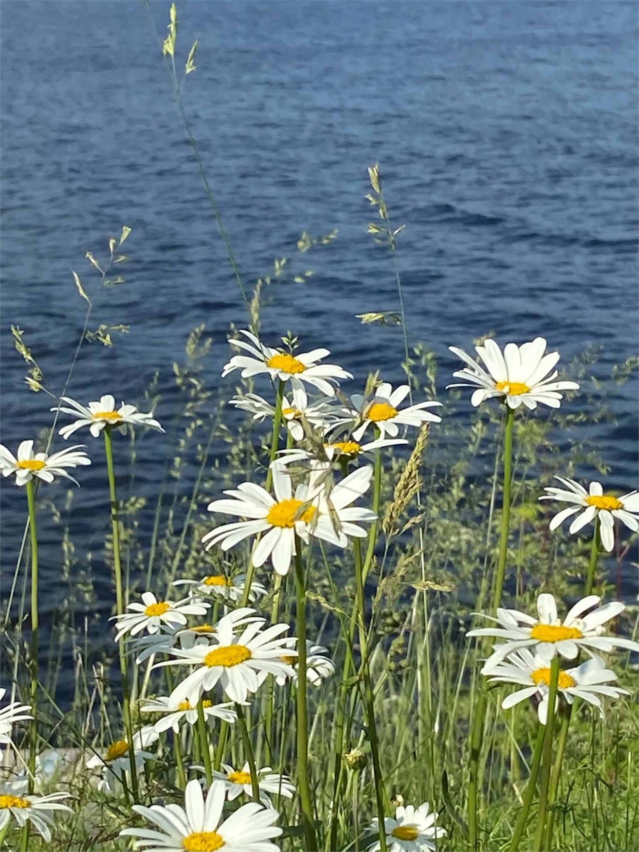 lör 10/10 – bild 31