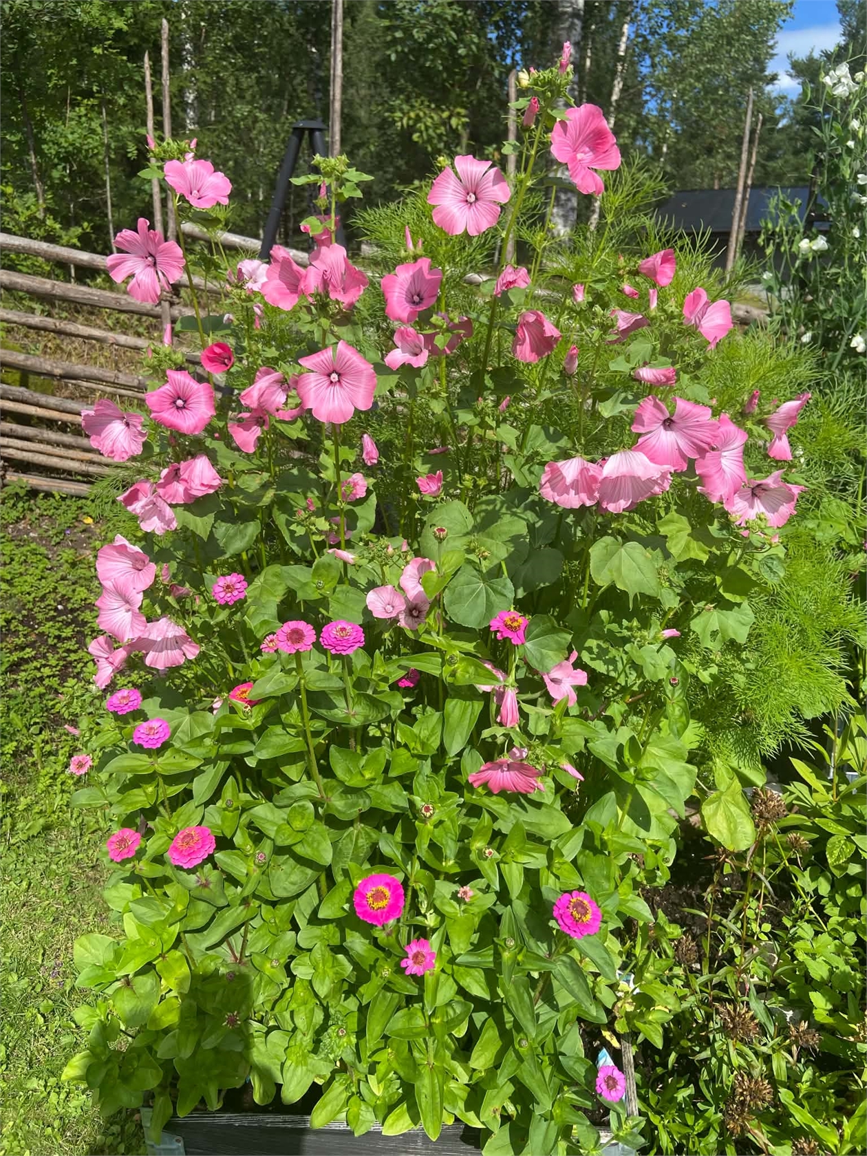 lör 10/10 – bild 33