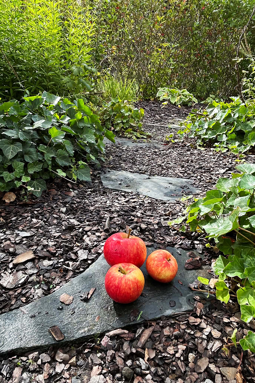 sön 4/10 – bild 26