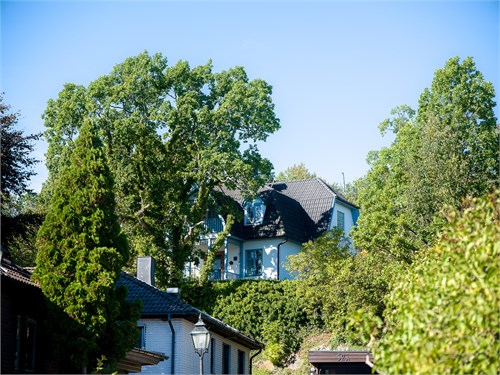 Fjällvägen 6