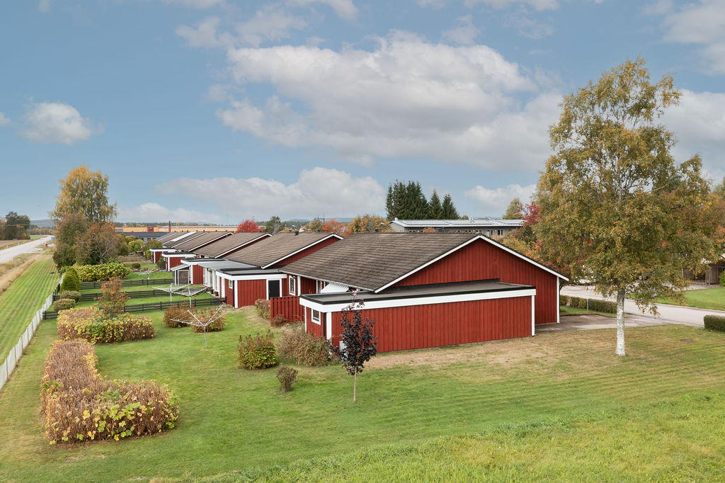 tors 8/10 – bild 3