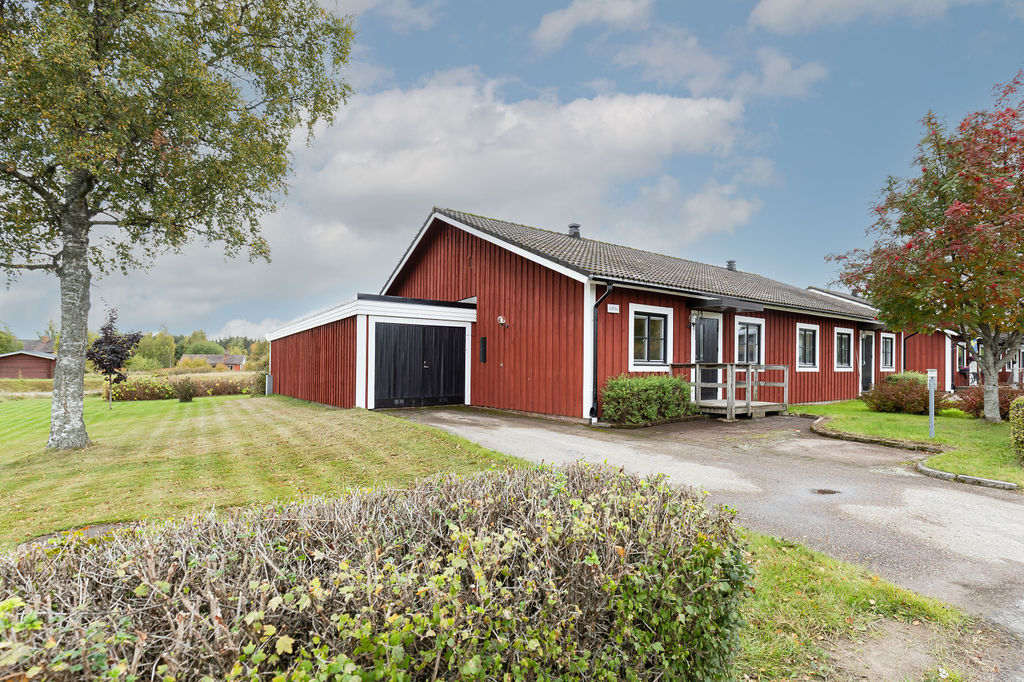 tors 8/10 – bild 23