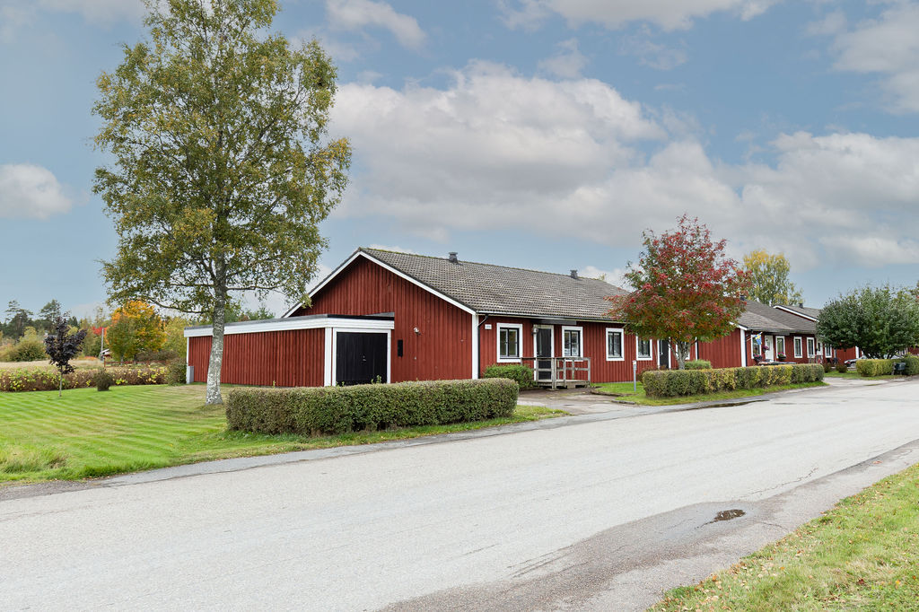 tors 8/10 – bild 2