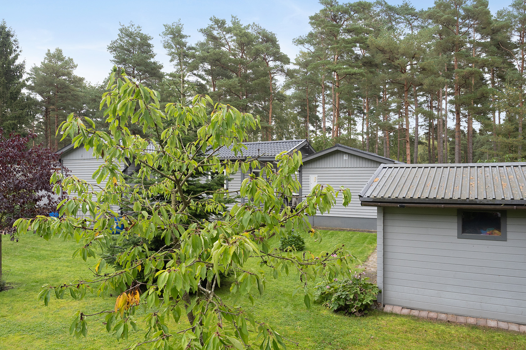 sön 11/10 – bild 18
