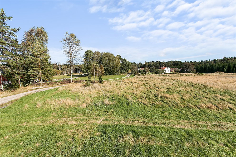 Vy över tomten