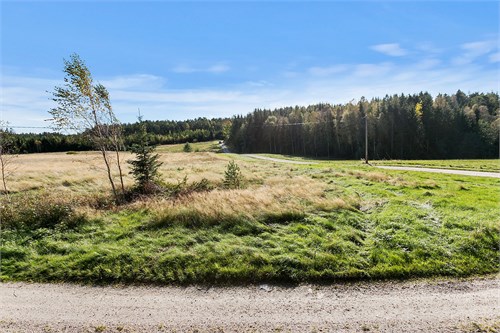 Vy över tomten