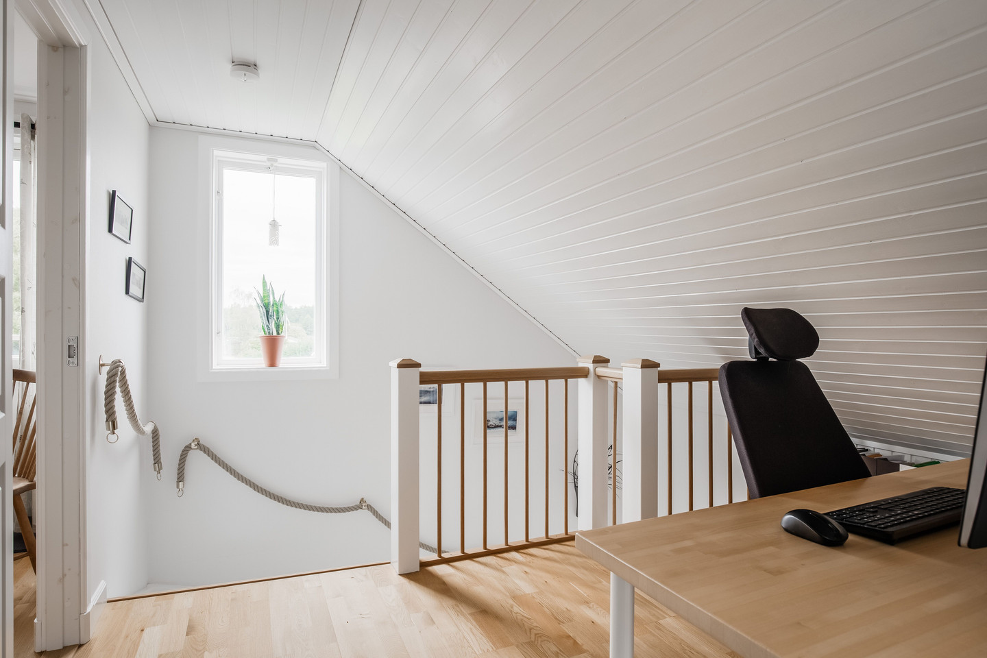 tors 5/11 – bild 19