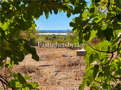Santo Estêvão | Tavira | Algarve