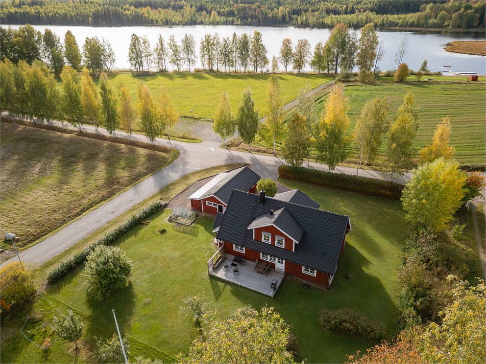 Björkallén 2