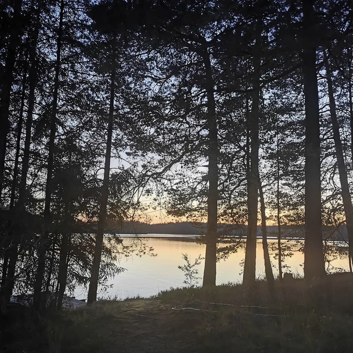 På gång – bild 28