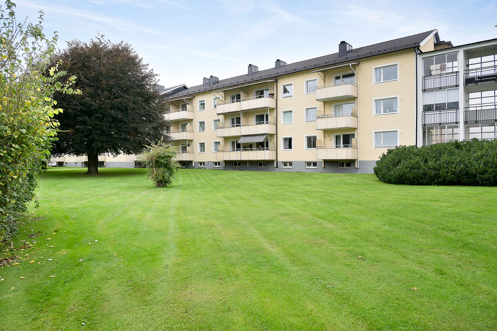 tors 15/10 – bild 15