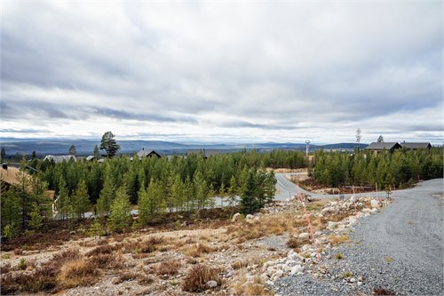 Cassiopejavägen 6