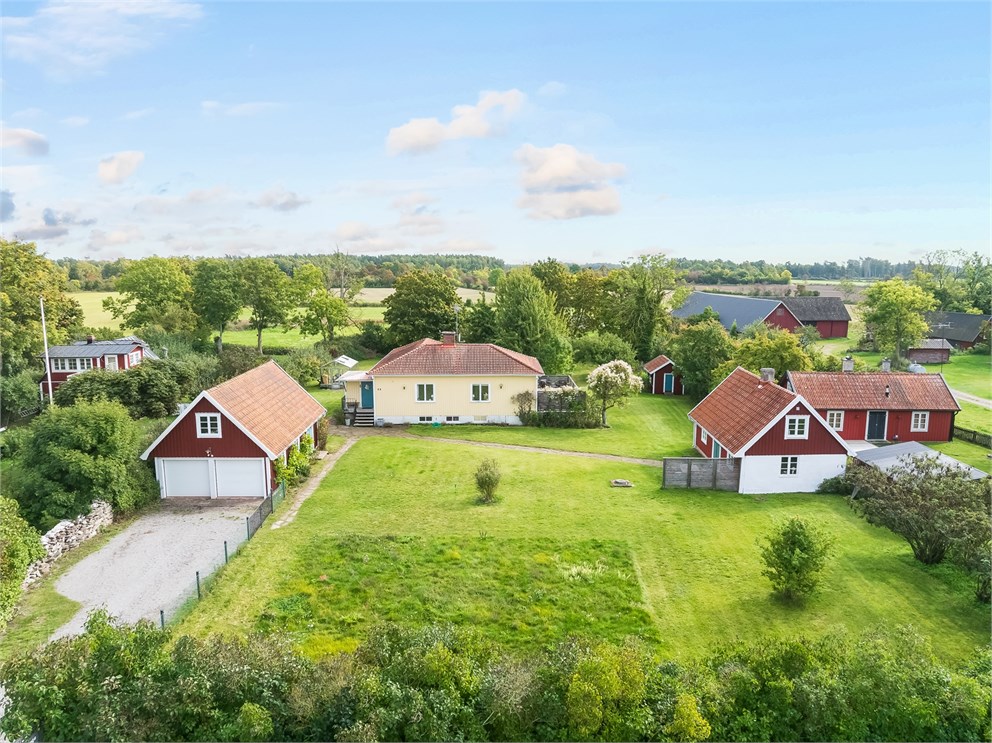 Störlinge 66