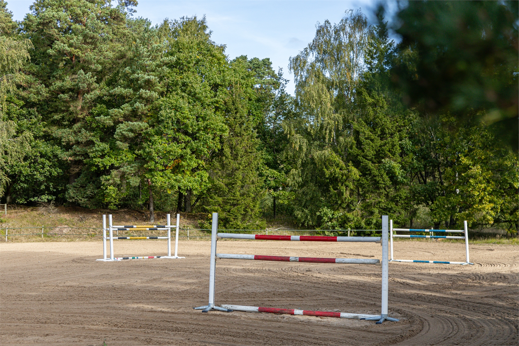 lör 10/10 – bild 5