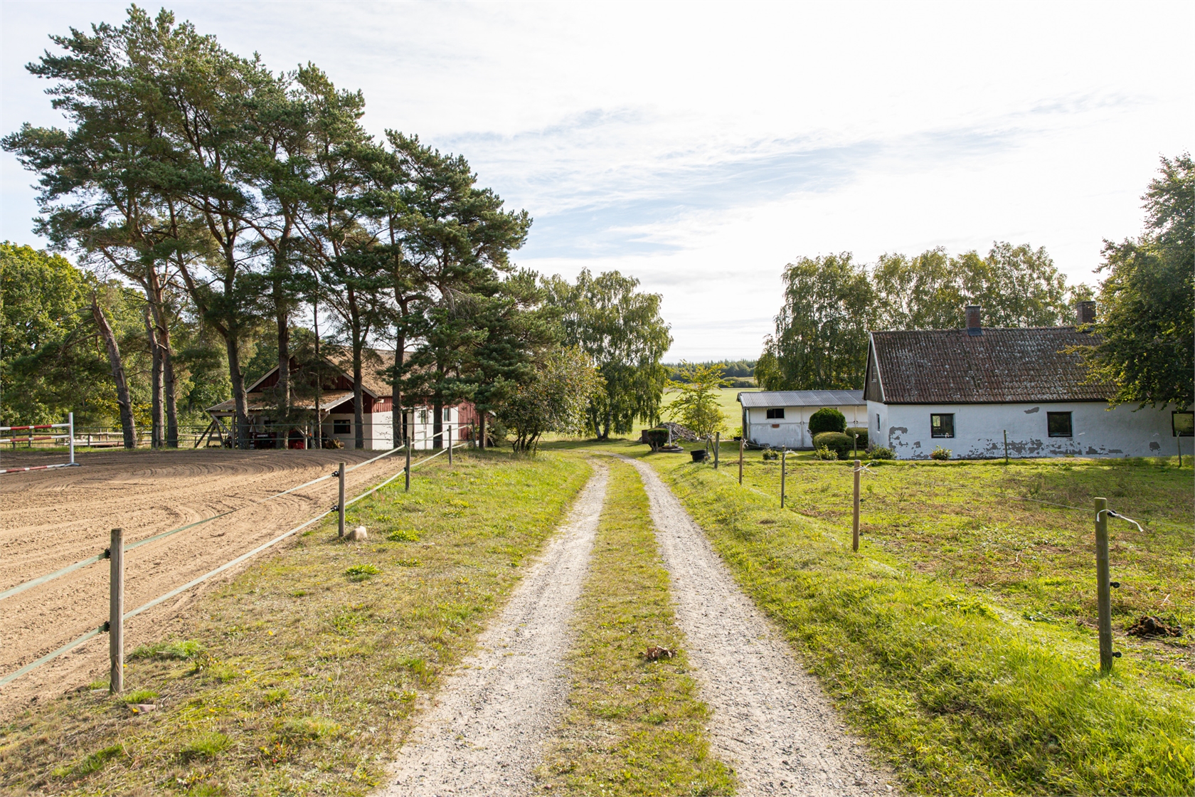 lör 10/10 – bild 6