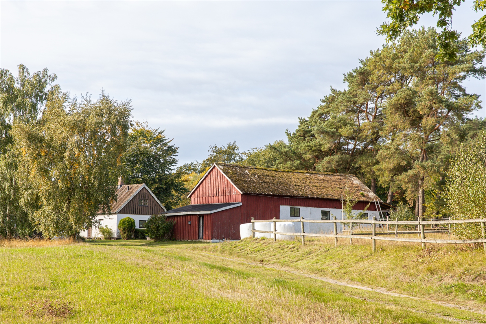 lör 10/10 – bild 13