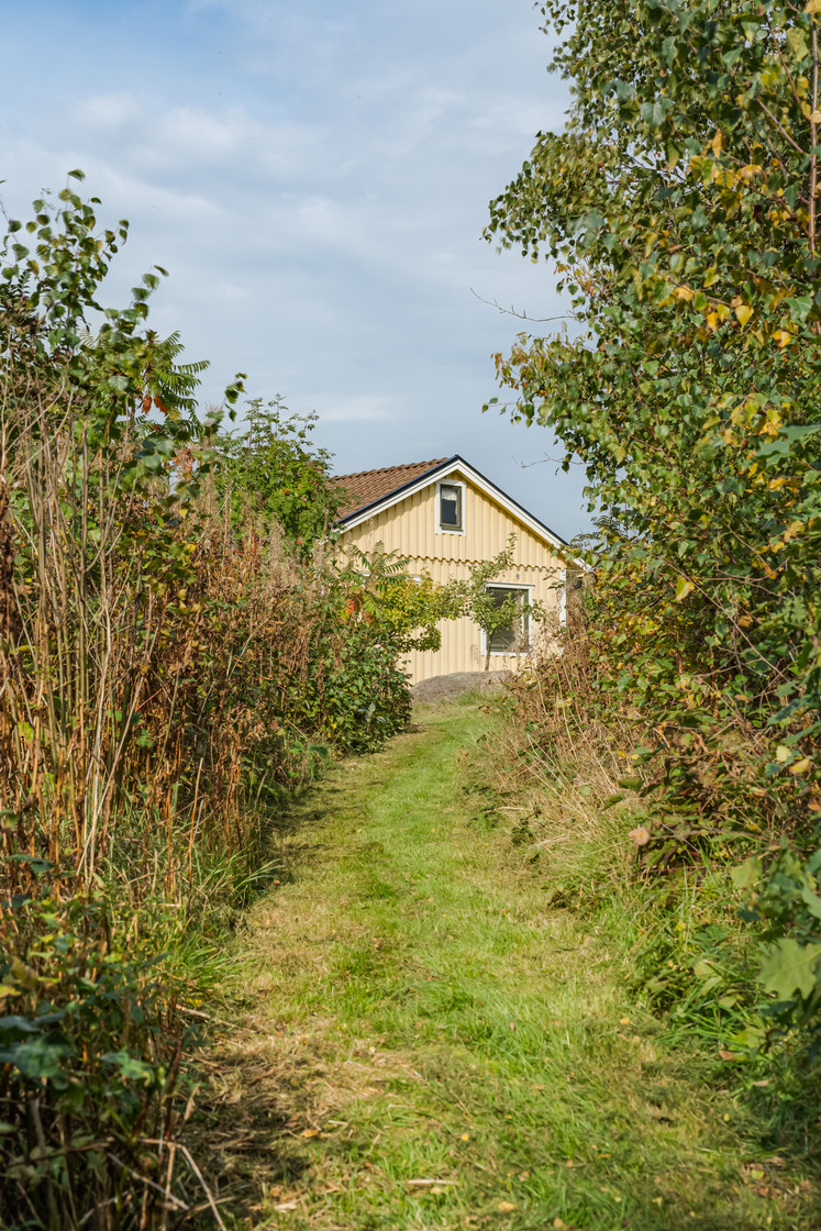 sön 11/10 – bild 32
