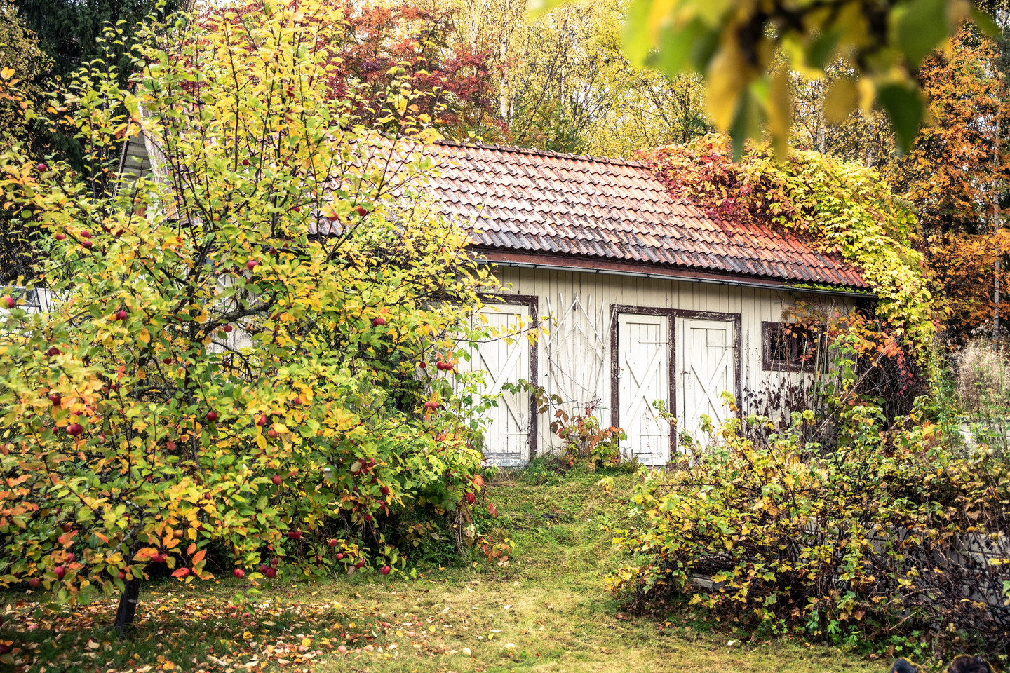På gång – bild 39