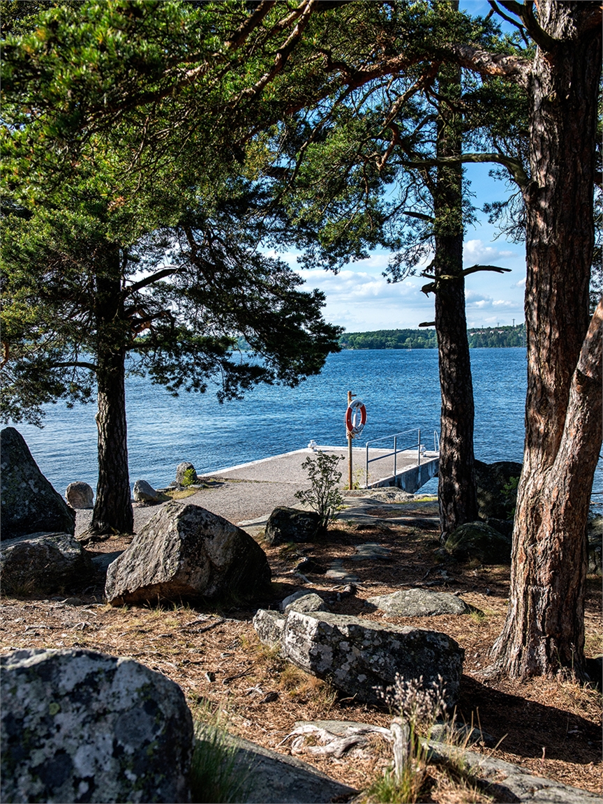 Budgivning pågår – bild 23