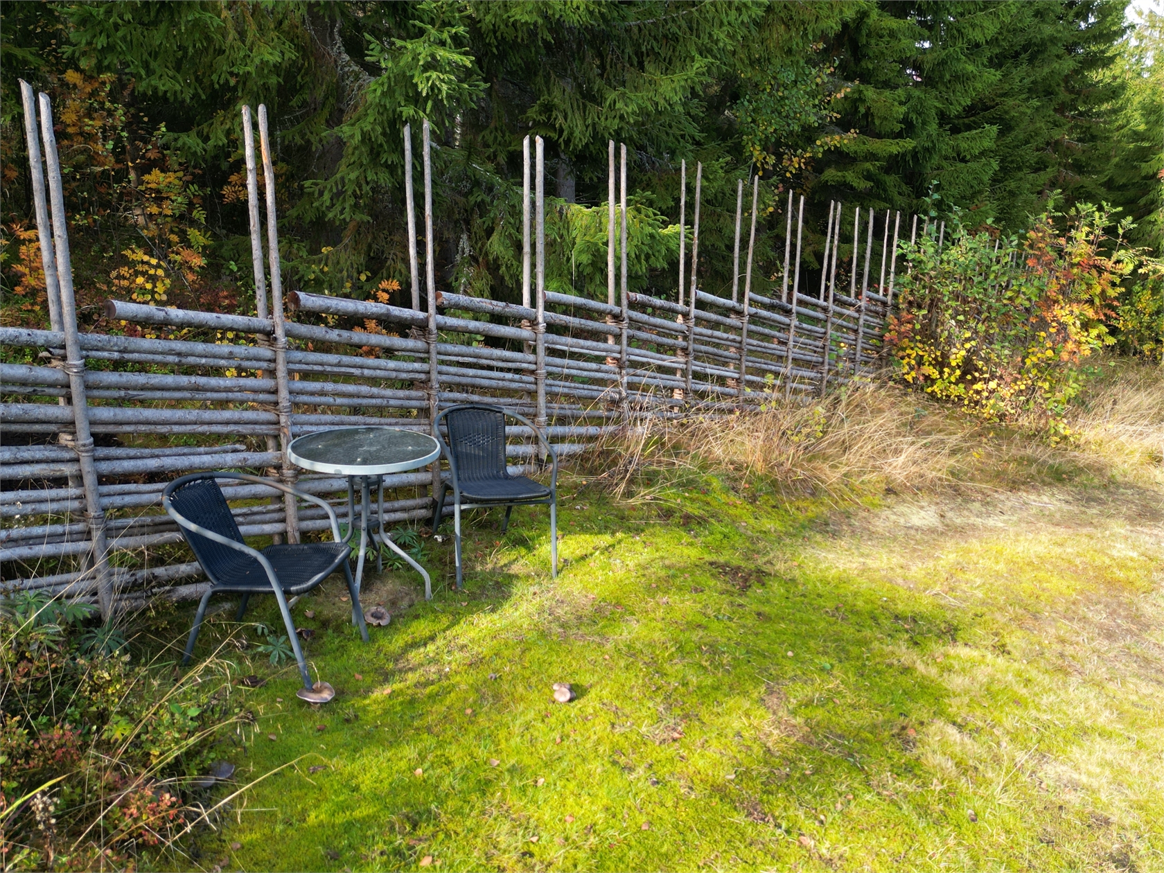 På gång – bild 13