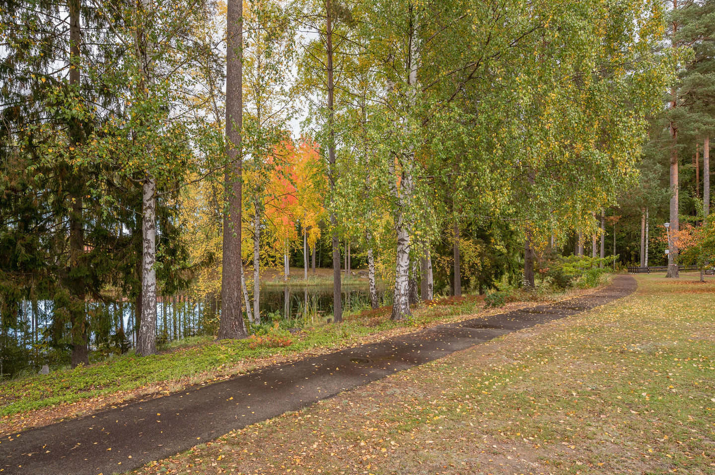 Se fler – bild 42