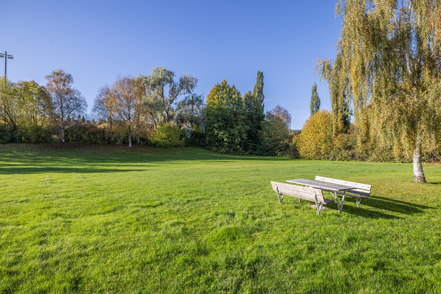 tis 13/10 – bild 17