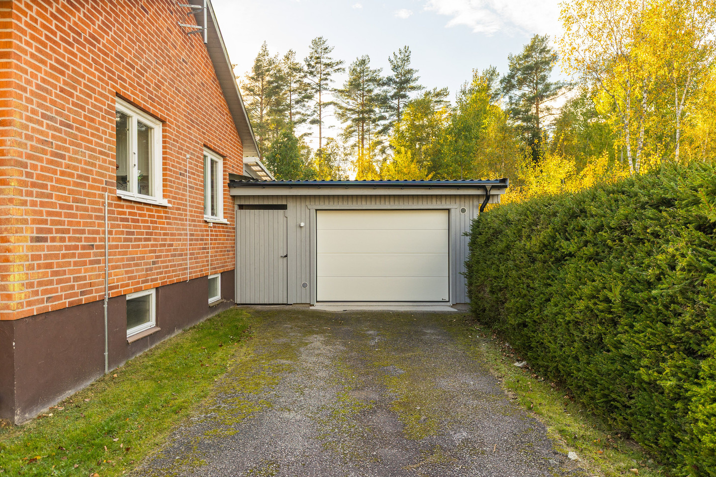 sön 1/11 – bild 4