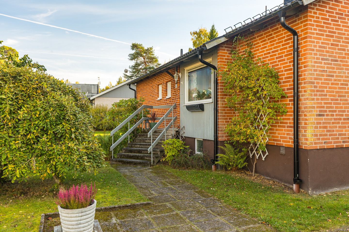 sön 1/11 – bild 6